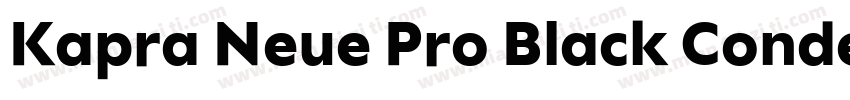 Kapra Neue Pro Black Condensed Roun字体转换